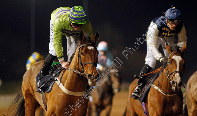 Optician-0003 
 OPTICIAN (Rossa Ryan) wins The Betuk Handicap
Wolverhampton 20 Dec 2024 - Pic Steven Cargill / Racingfotos.com