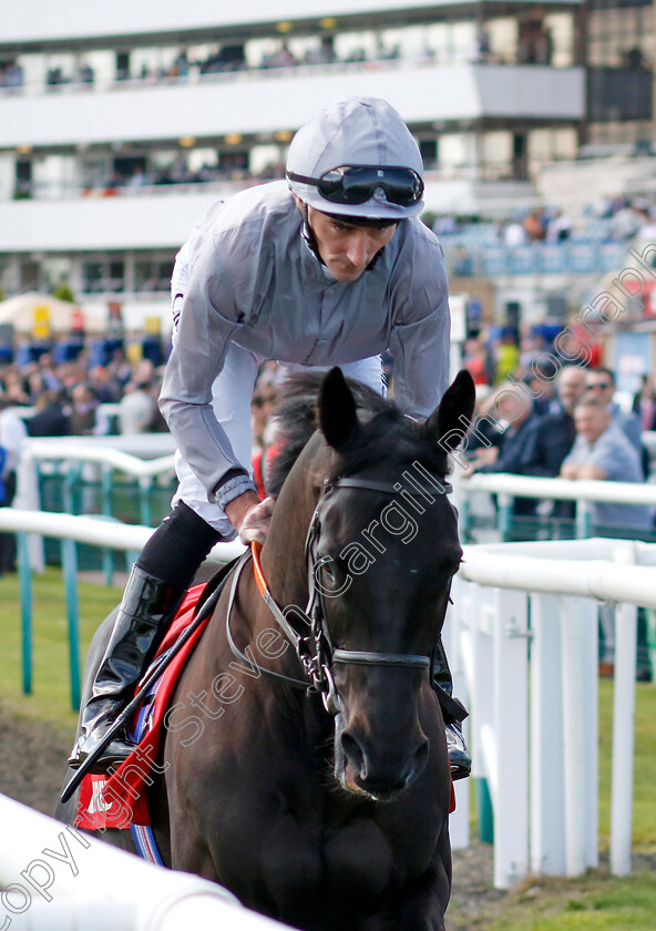 God-Of-War-0001 
 GOD OF WAR (Daniel Tudhope)
Doncaster 13 Sep 2024 - Pic Steven Cargill / Racingfotos.com