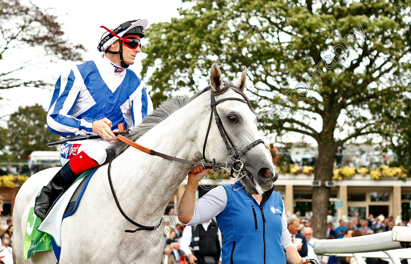 Thundering-Blue-0002 
 THUNDERING BLUE (Fran Berry)
York 22 Aug 2018 - Pic Steven Cargill / Racingfotos.com