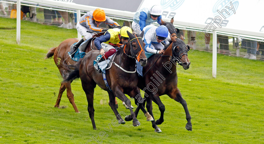 Ropey-Guest-0004 
 ROPEY GUEST (right, Tom Queally) beats POINT LYNAS (centre) in The Clipper Handicap
York 24 Aug 2023 - Pic Steven Cargill / Racingfotos.com