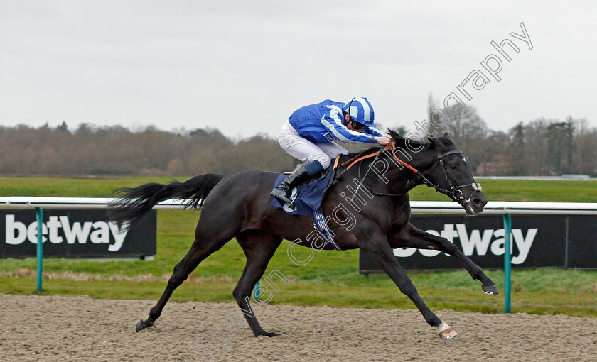 Pirate-King-0003 
 PIRATE KING (Kieran Shoemark) wins The Betway Handicap
Lingfield 22 Feb 2020 - Pic Steven Cargill / Racingfotos.com