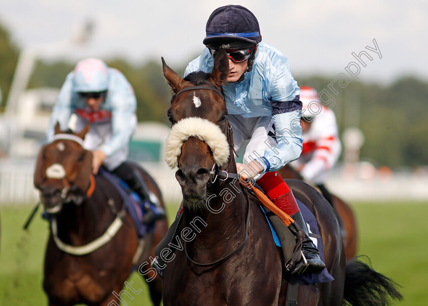 Title-0008 
 TITLE (David Egan) wins The Hippo Pro 3 Handicap
Doncaster 11 Sep 2021 - Pic Steven Cargill / Racingfotos.com