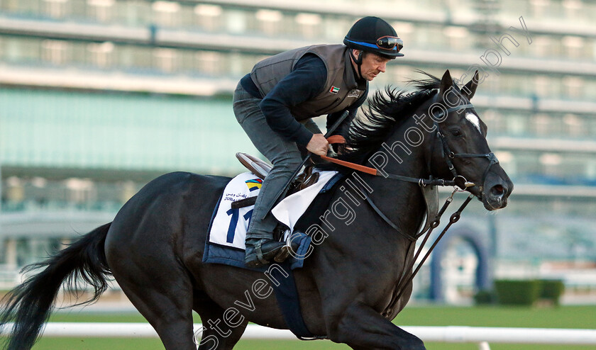 Heart-Of-Honor-0004 
 HEART OF HONOR training at the Dubai Racing Carnival 
Meydan 2 Jan 2025 - Pic Steven Cargill / Racingfotos.com