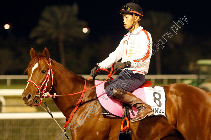 Continuar-0002 
 CONTINUAR training for the UAE Derby
Meydan, Dubai, 21 Mar 2023 - Pic Steven Cargill / Racingfotos.com