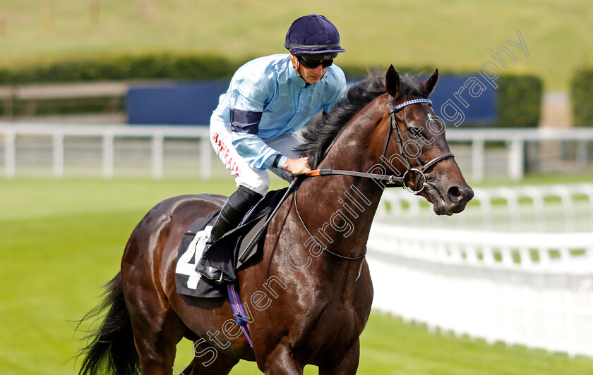 Sea-Eagle-0003 
 SEA EAGLE (Tom Marquand)
Goodwood 27 Aug 2022 - Pic Steven Cargill / Racingfotos.com