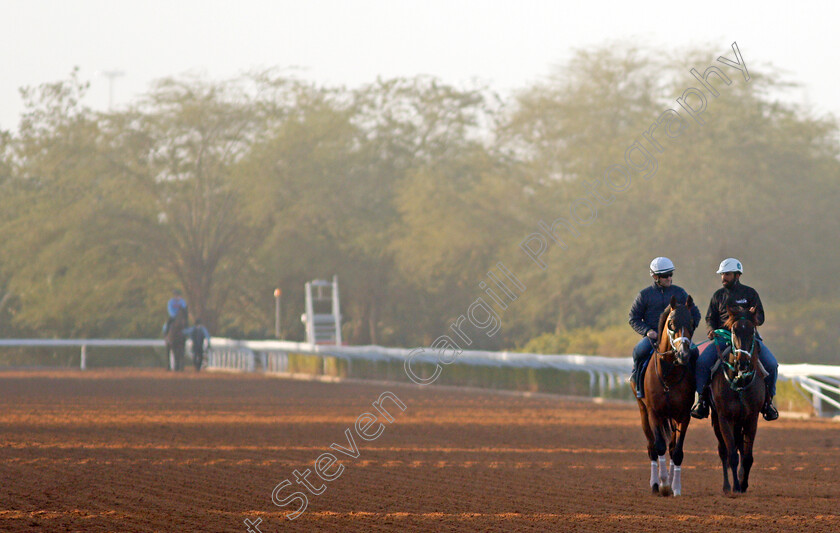 Mandaloun-0001 
 MANDALOUN training for The Saudi Cup
King Abdulaziz Racetrack, Riyadh, Saudi Arabia 22 Feb 2022 - Pic Steven Cargill / Racingfotos.com