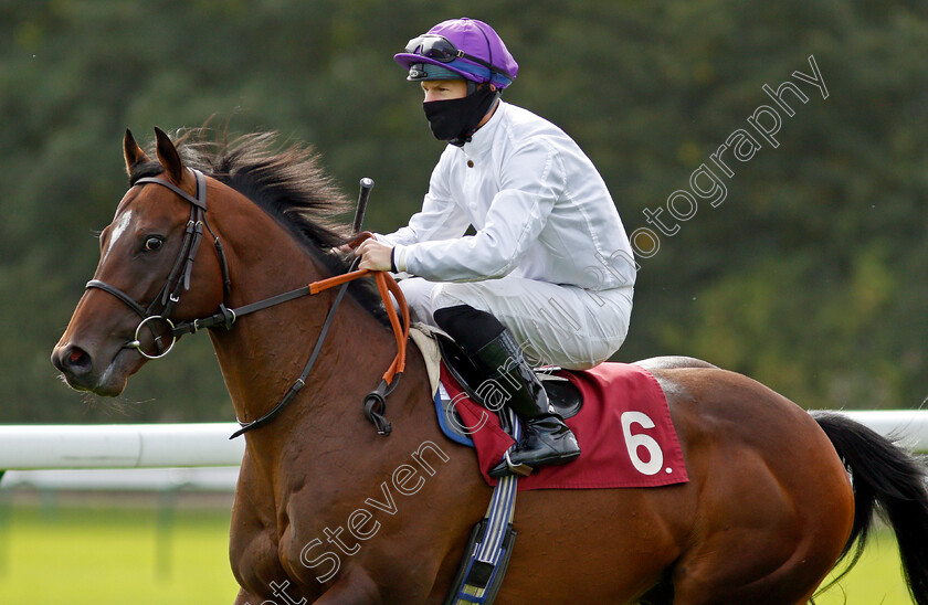 Majestic-Sands-0001 
 MAJESTIC SANDS (Richard Kingscote)
Haydock 4 Sep 2020 - Pic Steven Cargill / Racingfotos.com