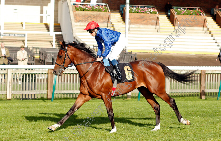 New-London-0001 
 NEW LONDON (William Buick) winner of The Home Of Racing Maiden Stakes
Newmarket 20 Oct 2021 - Pic Steven Cargill / Racingfotos.com