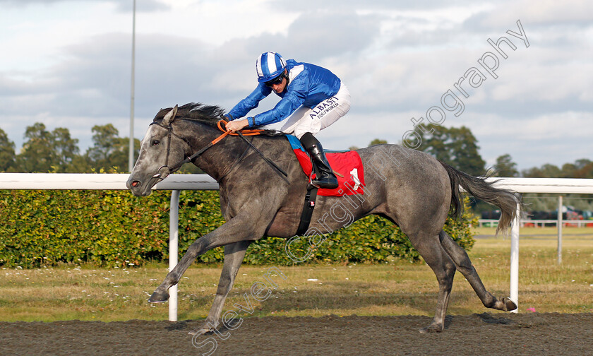 Mubakker-0004 
 MUBAKKER (Dane O'Neill) wins The Matchbook Betting Exchange Novice Stakes
Kempton 3 Sep 2019 - Pic Steven Cargill / Racingfotos.com