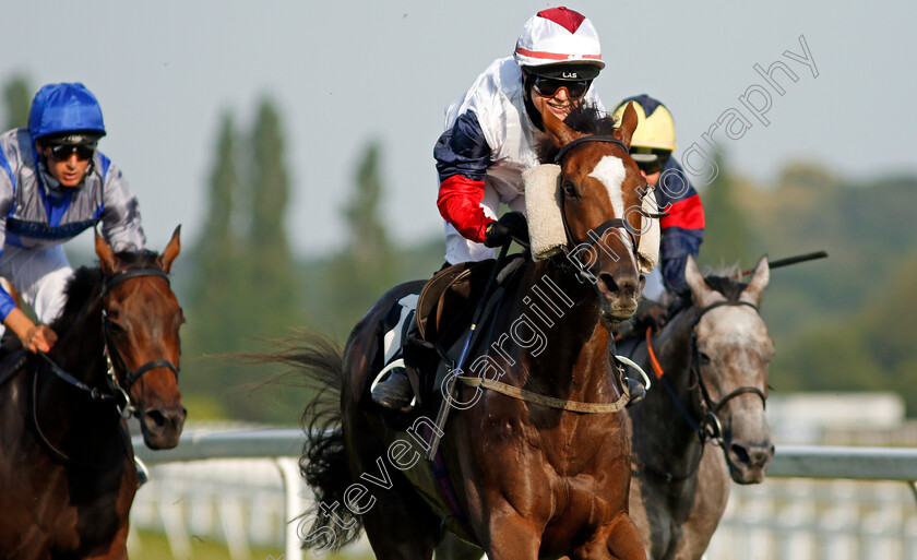 Estrela-Star-0006 
 ESTRELA STAR (Sophie Smith) wins The Taste Newbury Amateur Jockeys Handicap
Newbury 22 Jul 2021 - Pic Steven Cargill / Racingfotos.com