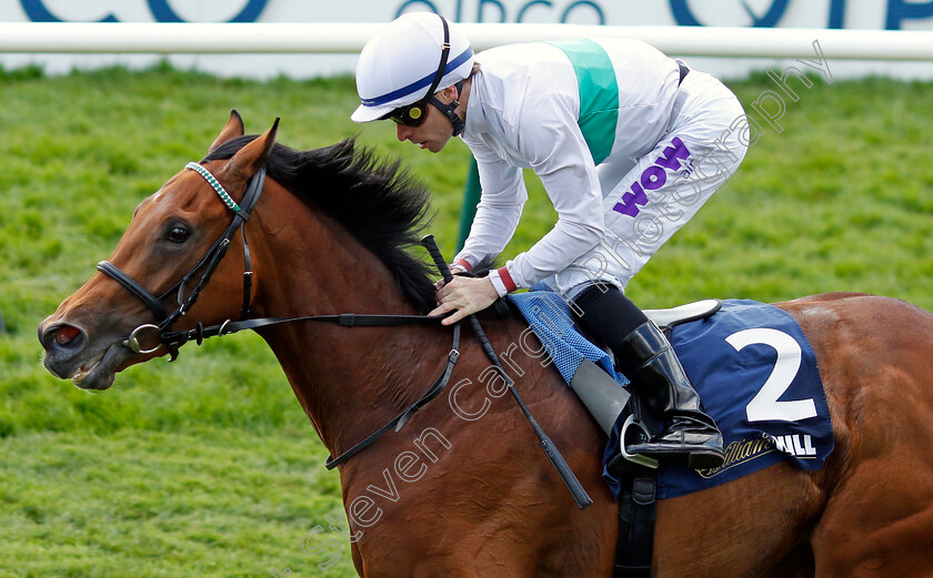 Friendly-Soul-0001 
 FRIENDLY SOUL (Kieran Shoemark) wins The William Hill Pretty Polly Stakes
Newmarket 5 May 2024 - Pic Steven Cargill / Racingfotos.com