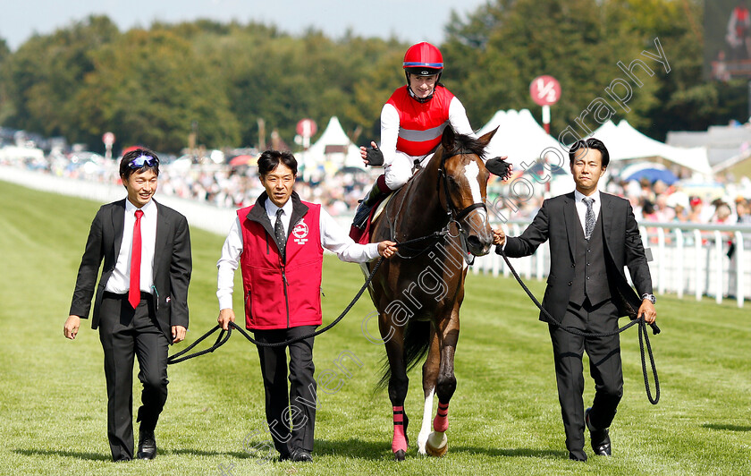 Deirdre-0015 
 DEIRDRE (Oisin Murphy) after The Qatar Nassau Stakes
Goodwood 1 Aug 2019 - Pic Steven Cargill / Racingfotos.com