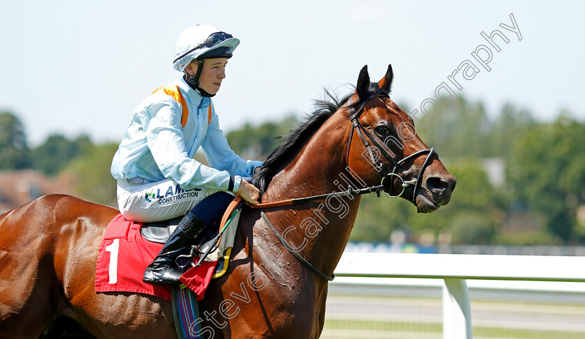 Clarendon-House-0001 
 CLARENDON HOUSE (Billy Loughnane)
Sandown 7 Jul 2023 - Pic Steven Cargill / Racingfotos.com