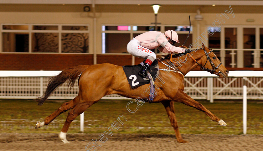 Fred-0005 
 FRED (Franny Norton) wins The tote.co.uk Live Streaming Every UK Race Handicap
Chelmsford 18 Feb 2021 - Pic Steven Cargill / Racingfotos.com