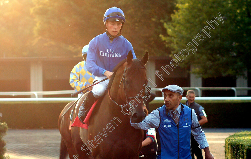 Dayking-0001 
 DAYKING (Jason Watson)
Kempton 29 Aug 2018 - Pic Steven Cargill / Racingfotos.com