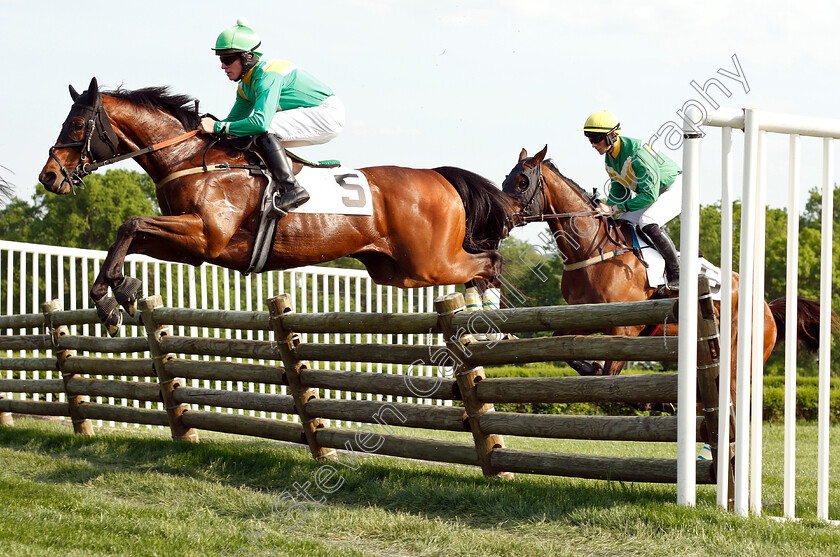 Shinobi-0001 
 SHINOBI (Gerard Galligan) during The Mason Houghland Memorial Timber Steeplechase
Percy Warner Park, Nashville USA, 12 May 2018 - Pic Steven Cargill / Racingfotos.com