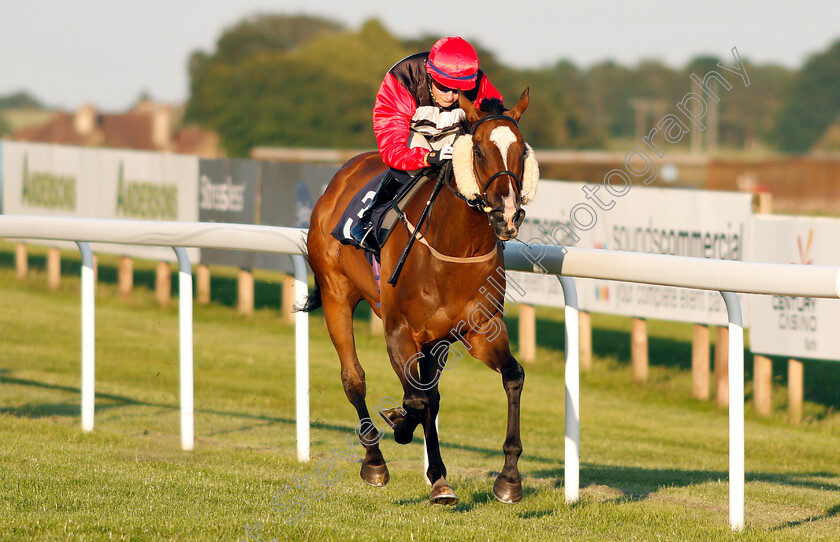 Sigrid-Nansen-0006 
 SIGRID NANSEN (Cieren Fallon) wins The Value Rater Racing Club Handicap
Bath 3 Jul 2019 - Pic Steven Cargill / Racingfotos.com