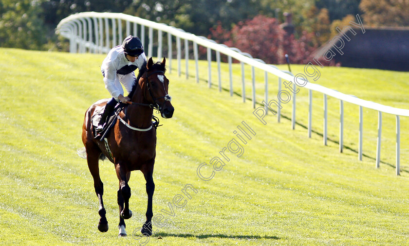 Confiding-0001 
 CONFIDING (Oisin Murphy)
Sandown 1 Sep 2018 - PIc Steven Cargill / Racingfotos.com