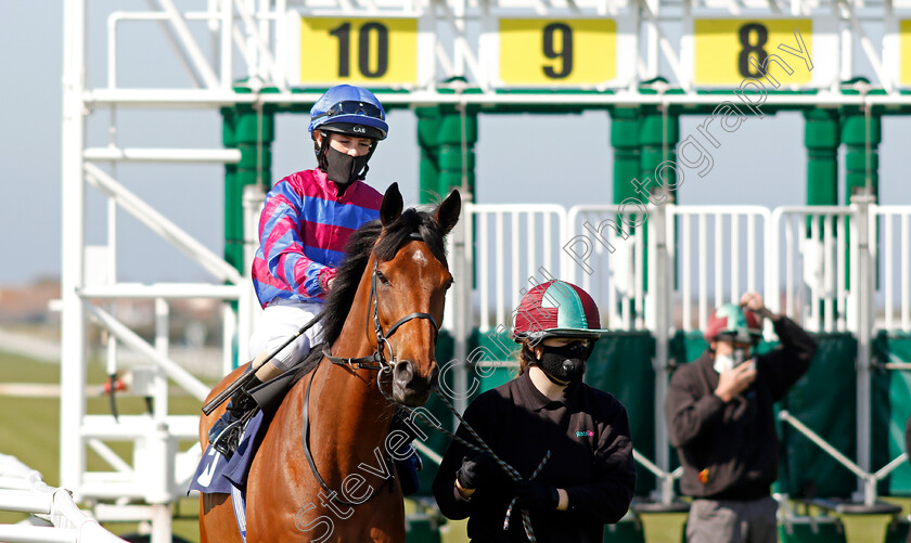 Tynecastle-Park-0006 
 TYNECASTLE PARK (Molly Presland)
Yarmouth 19 May 2021 - Pic Steven Cargill / Racingfotos.com