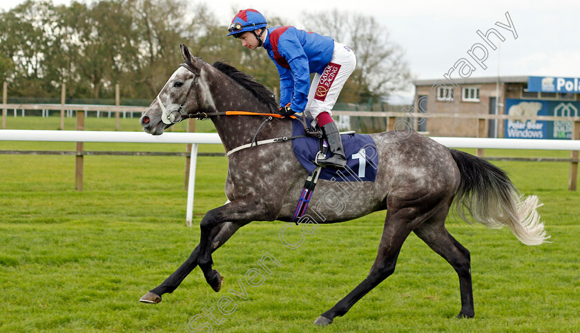 Master-Grey-0001 
 MASTER GREY (Oisin Murphy)
Bath 16 Oct 2019 - Pic Steven Cargill / Racingfotos.com