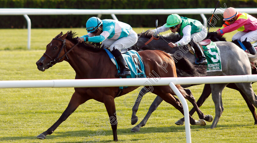 La-Signare-0004 
 LA SIGNARE (Joel Rosario) wins The Wonder Again Stakes
Belmont Park 7 Jun 2018 - Pic Steven Cargill / Racingfotos.com