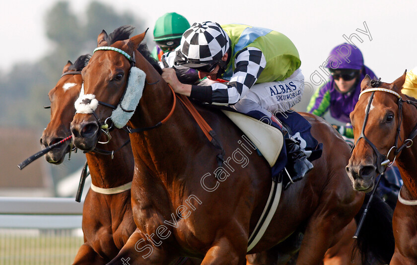 Global-Hope-0004 
 GLOBAL HOPE (Adam Kirby) wins The Download The At The Races App Handicap
Yarmouth 15 Sep 2020 - Pic Steven Cargill / Racingfotos.com