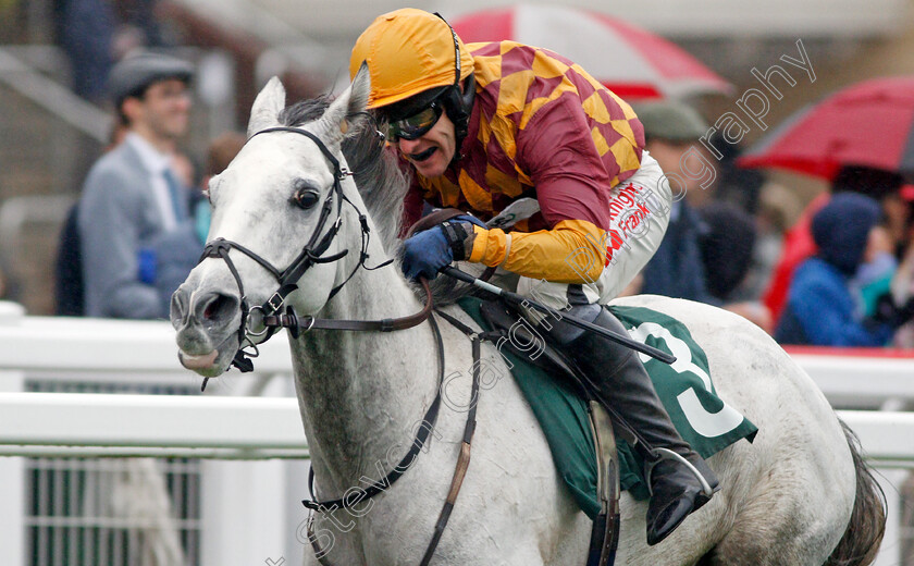 Ramses-De-Teillee-0008 
 RAMSES DE TEILLEE (Tom Scudamore) wins The Randox Health Novices Hurdle
Cheltenham 26 Oct 2019 - Pic Steven Cargill / Racingfotos.com