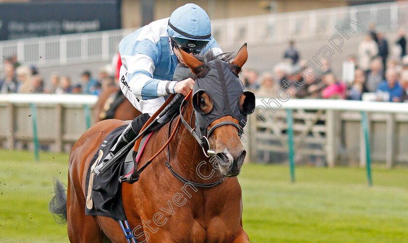 Chamade-0004 
 CHAMADE (Richard Kingscote) wins The Allicare Fillies Novice Median Auction Stakes
Newmarket 23 Oct 2019 - Pic Steven Cargill / Racingfotos.com