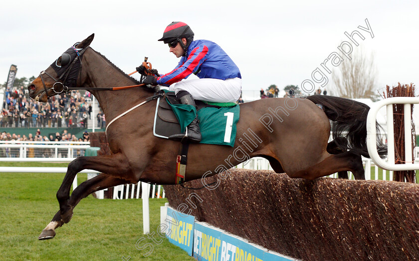 Beware-The-Bear-0005 
 BEWARE THE BEAR (Jeremiah McGrath) wins The Join The BetBright Racing Club Handicap Chase
Cheltenham 1 Jan 2019 - Pic Steven Cargill / Racingfotos.com