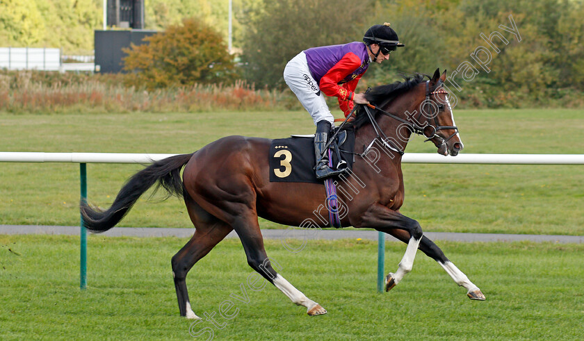 Clear-Day-0002 
 CLEAR DAY (Daniel Tudhope)
Nottingham 13 Oct 2021 - Pic Steven Cargill / Racingfotos.com