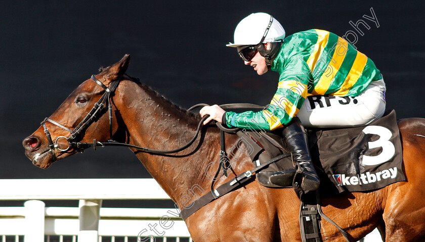 Regal-Encore-0004 
 REGAL ENCORE (Richie McLernon) wins The Keltbray Swinley Handicap Chase Ascot 17 Feb 2018 - Pic Steven Cargill / Racingfotos.com