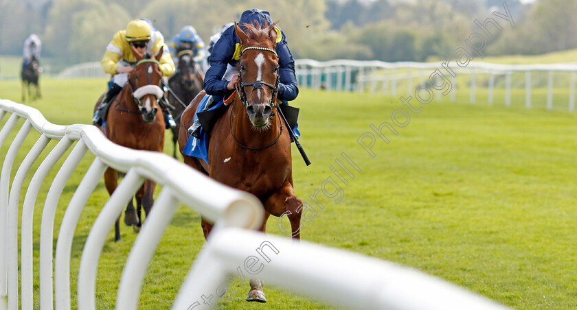 Al-Mubhir-0005 
 AL MUBHIR (William Buick) wins The Madri Excepcional King Richard III Cup Handicap
Leicester 29 Apr 2023 - Pic Steven Cargill / Racingfotos.com