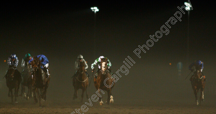 Pablo-Escobarr-0002 
 PABLO ESCOBARR (centre, Tom Marquand) beats LOXLEY (left) in The 32Red Wild Flower Stakes
Kempton 4 Dec 2019 - Pic Steven Cargill / Racingfotos.com