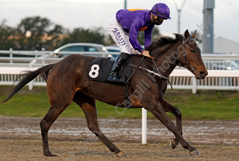 Pocketeer-0001 
 POCKETEER (Tom Marquand)
Chelmsford 15 Oct 2020 - Pic Steven Cargill / Racingfotos.com