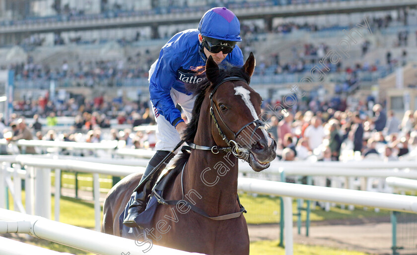 Shout-0006 
 SHOUT (Robert Havlin) winner of The Believe Money Confined Nursery
Doncaster 13 Sep 2024 - Pic Steven Cargill / Racingfotos.com