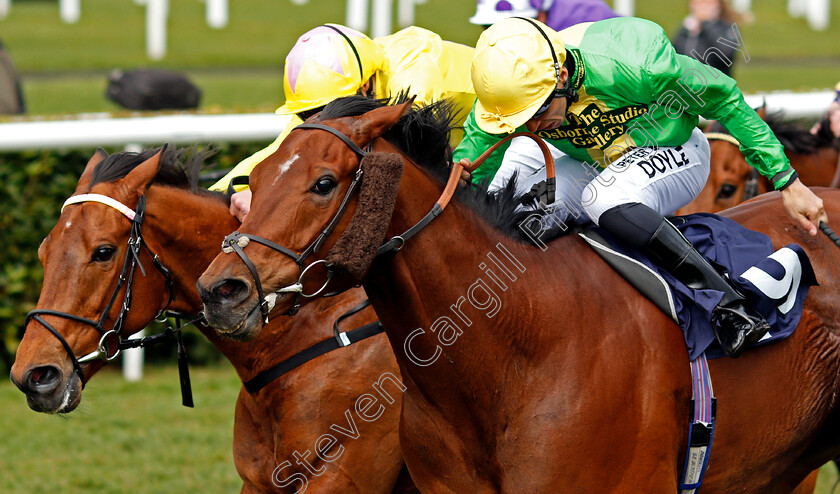 Tahitian-Prince-0004 
 TAHITIAN PRINCE (Sean Levey) beats DIRTY RASCAL (left) in The 32red.com Handicap
Doncaster 28 Mar 2021 - Pic Steven Cargill / Racingfotos.com