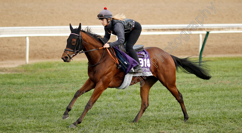 Queen-Of-Bermuda-0001 
 QUEEN OF BERMUDA (Georgia Cox) exercising ahead of The Breeders' Cup Juvenile Turf Sprint
Churchill Downs 31 Oct 2018 - Pic Steven Cargill / Racingfotos.com