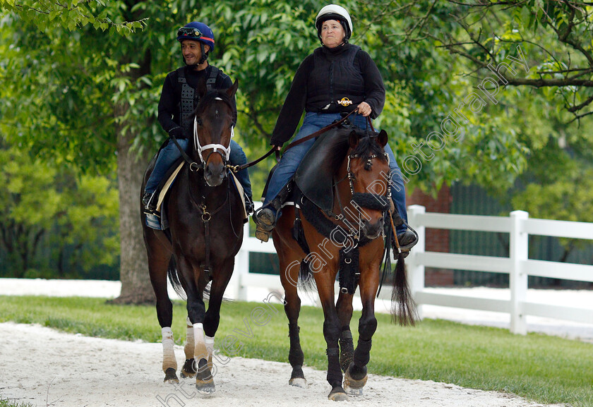 Warrior s-Charge-0002 
 WARRIOR'S CHARGE exercising in preparation for the Preakness Stakes
Pimlico, Baltimore USA, 16 May 2019 - Pic Steven Cargill / Racingfotos.com