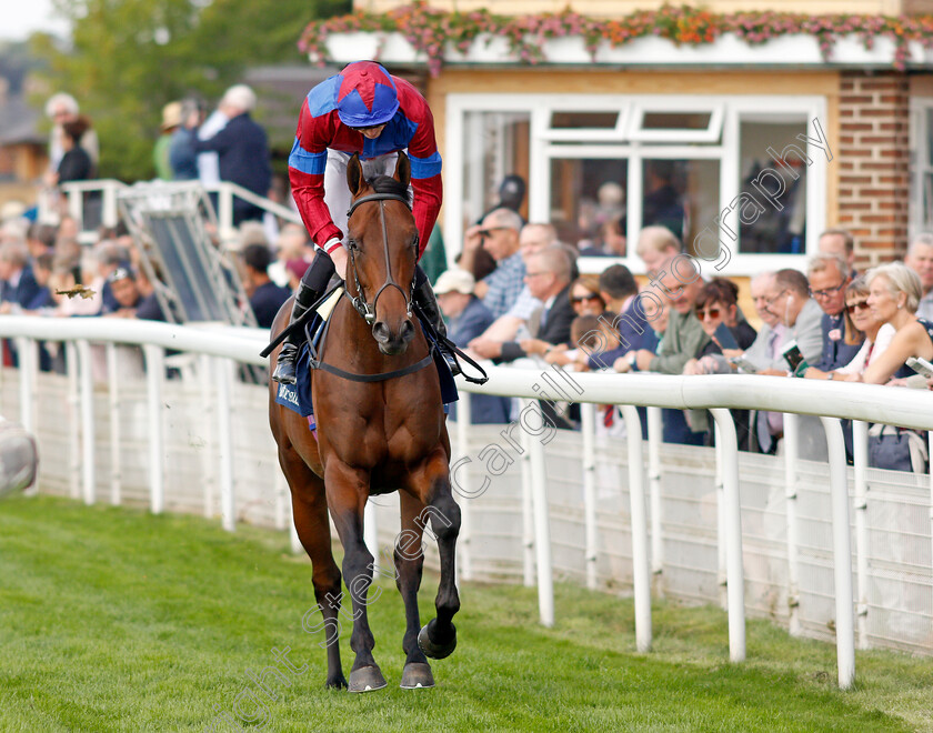 Dubawi-Legend-0001 
 DUBAWI LEGEND (James Doyle)
York 18 Aug 2021 - Pic Steven Cargill / Racingfotos.com