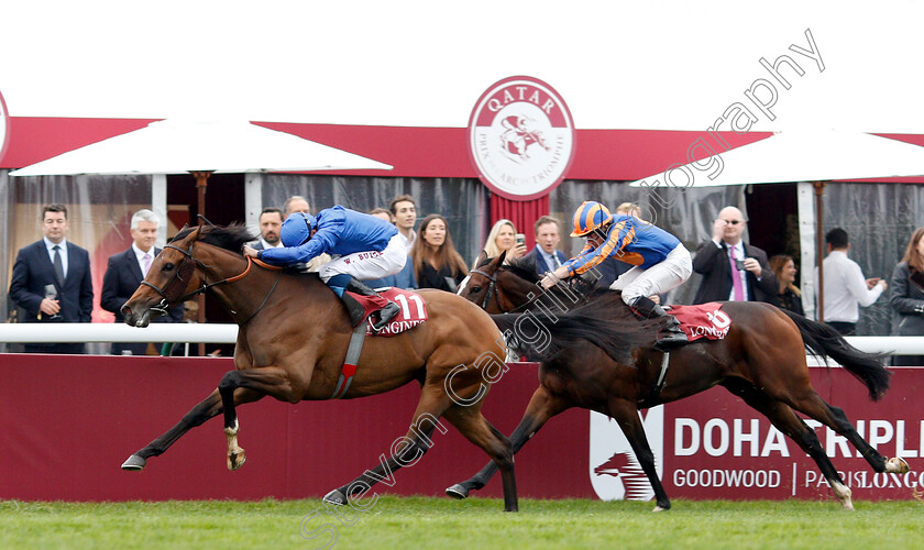 Wild-Illusion-0003 
 WILD ILLUSION (William Buick) wins The Prix De L'Opera
Longchamp 7 Oct 2018 - Pic Steven Cargill / Racingfotos.com