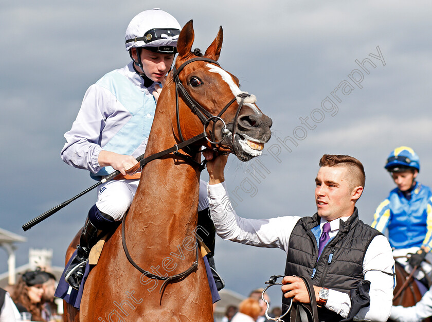 Montaly-0001 
 MONTALY (Oisin Murphy) Doncaster 15 Sep 2017 - Pic Steven Cargill / Racingfotos.com