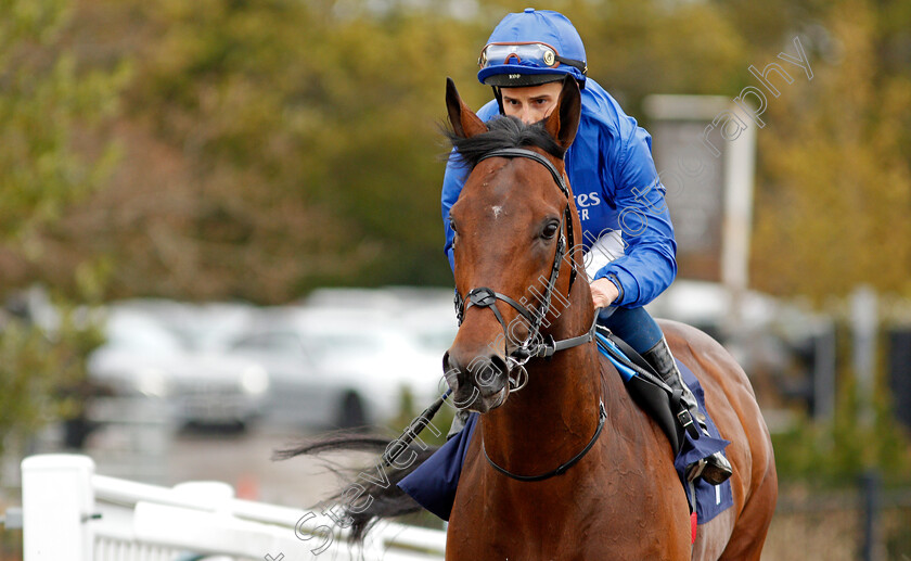 Adayar-0003 
 ADAYAR (William Buick)
Lingfield 8 May 2021 - Pic Steven Cargill / Racingfotos.com