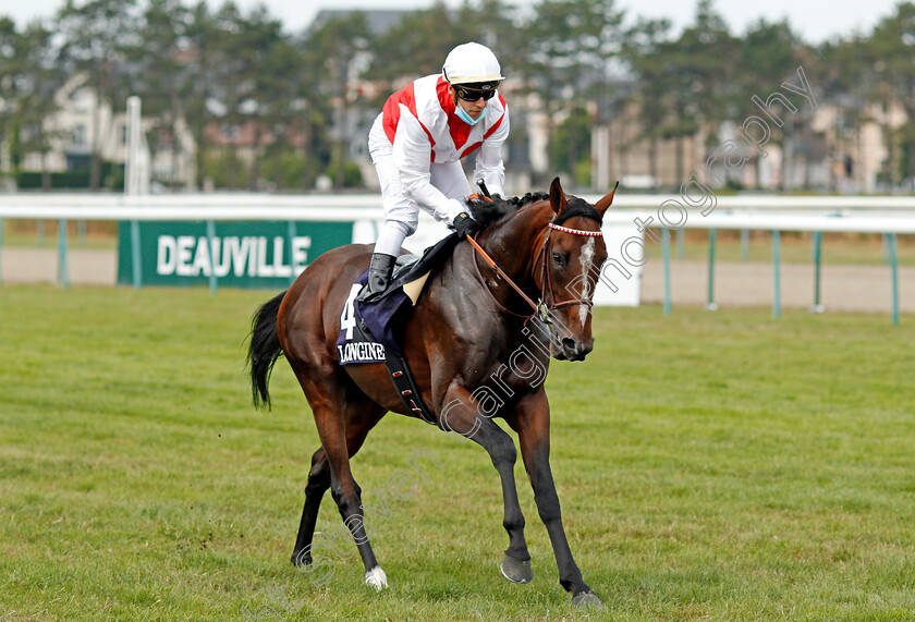 Port-Guillaume-0001 
 PORT GUILLAUME (C Demuro) before winning The Prix Hocquart
Deauville 8 Aug 2020 - Pic Steven Cargill / Racingfotos.com