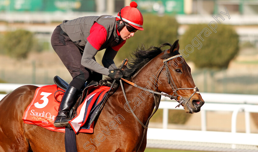 Enemy-0001 
 ENEMY training for The Red Sea Turf Handicap
King Abdulaziz Racecourse, Kingdom Of Saudi Arabia, 23 Feb 2023 - Pic Steven Cargill / Racingfotos.com