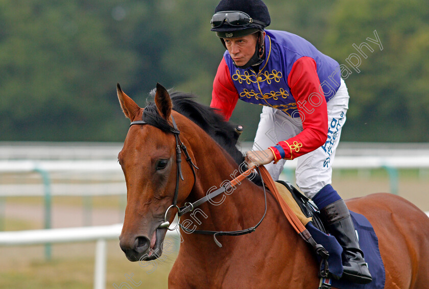 Just-Fine-0001 
 JUST FINE (Jim Crowley)
Lingfield 14 Aug 2020 - Pic Steven Cargill / Racingfotos.com