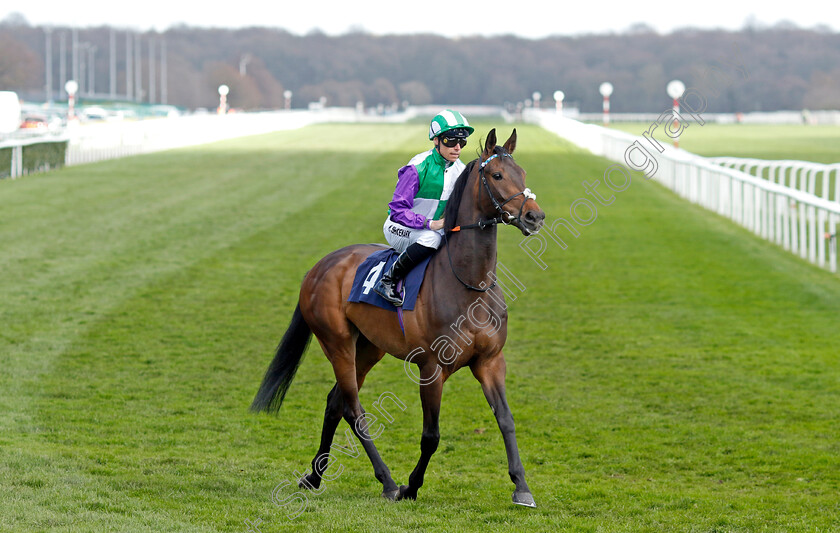 Cloudbreaker-0001 
 CLOUDBREAKER (Kieran Shoemark)
Doncaster 2 Apr 2023 - Pic Steven Cargill / Racingfotos.com