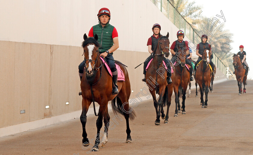 Threeandfourpence-0002 
 THREEANDFOURPENCE leads SEAHENGE, MENDELSSOHN, LANCASTER BOMBER and WASHINGTON DC exercising at Meydan 29 Mar 2018 - Pic Steven Cargill / Racingfotos.com