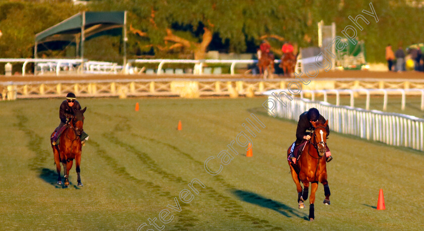 Carla s-Way-0003 
 CARLA'S WAY training for The Breeders' Cup Juvenile Fillies Turf
Santa Anita 2 Nov 2023 - Pic Steven Cargill / Racingfotos.com