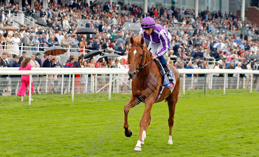 King-Of-The-Castle-0001 
 KING OF THE CASTLE (William Buick)
York 21 Aug 2021 - Pic Steven Cargill / Racingfotos.com