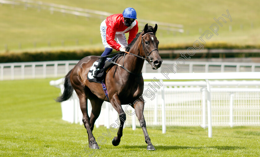 Publicise-0001 
 PUBLICISE (David Probert)
Goodwood 28 Aug 2020 - Pic Steven Cargill / Racingfotos.com